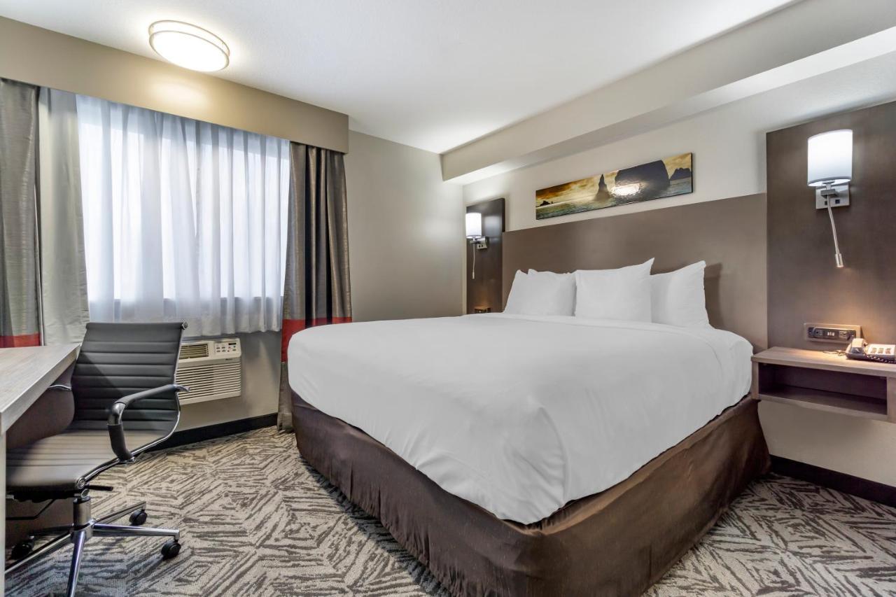 Comfort Inn & Suites Pacific - Auburn Esterno foto